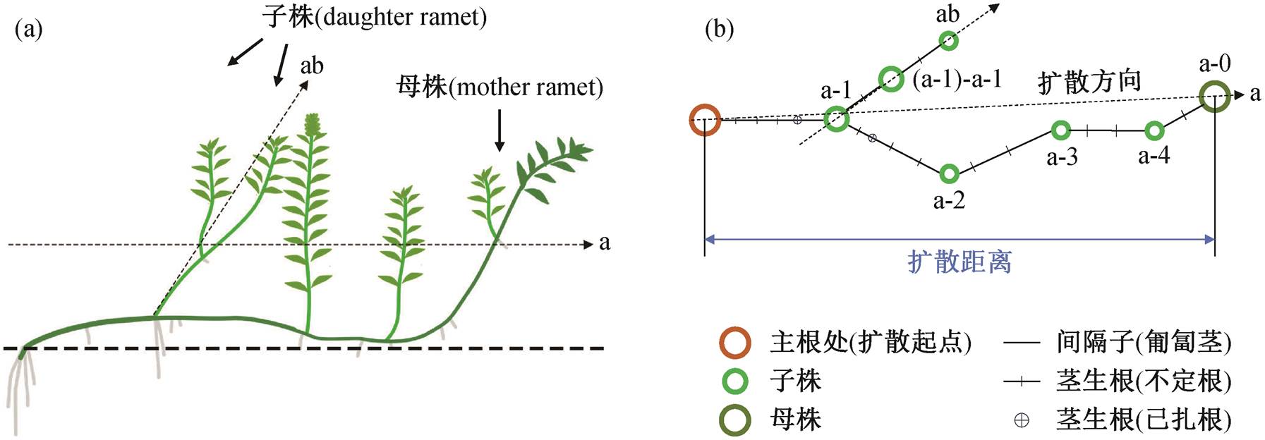 width=391.2,height=136.05