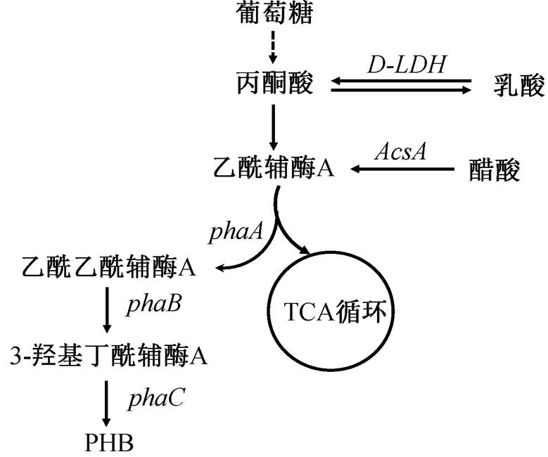 width=170,height=141.7