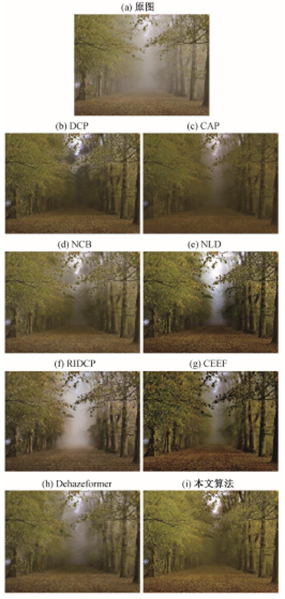 width=199.7,height=419.75