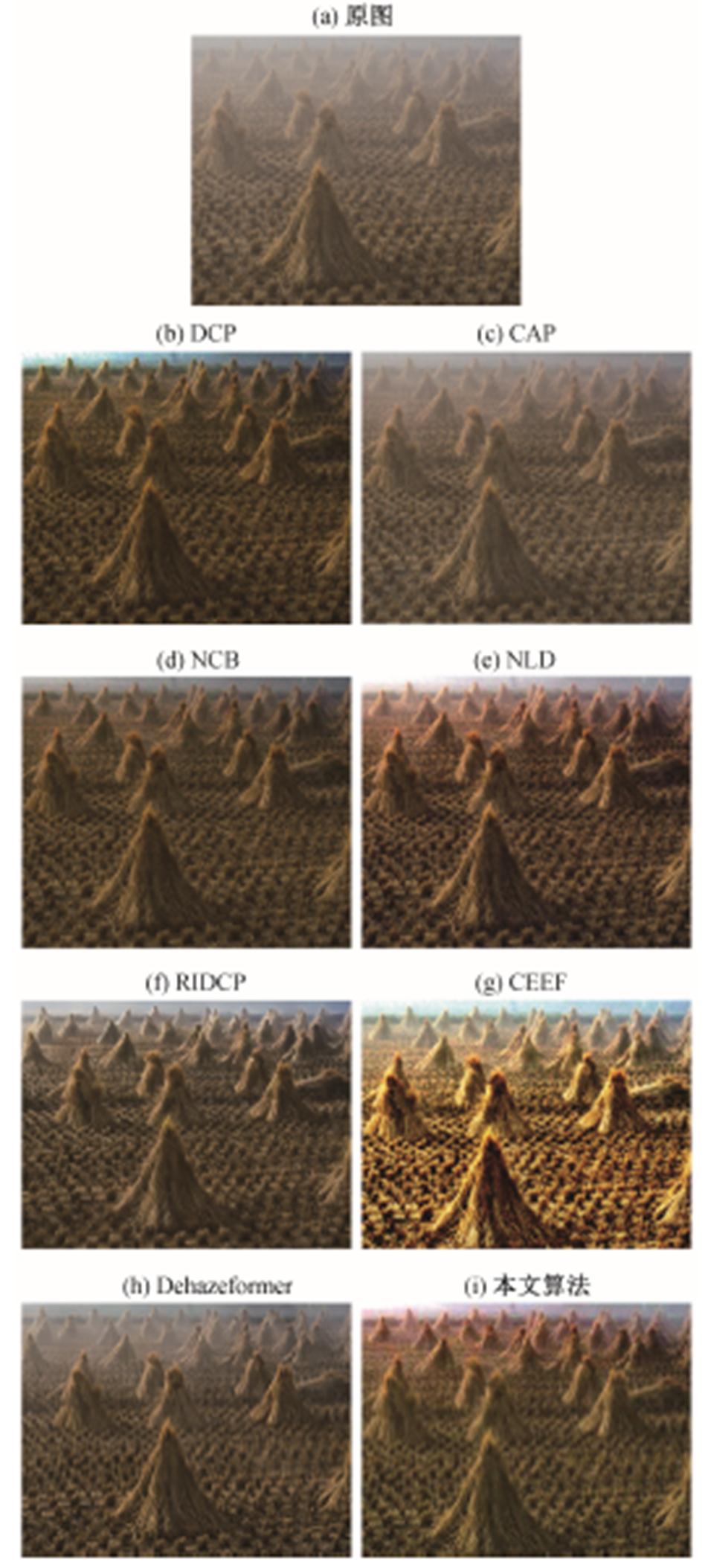 width=217.35,height=480.9