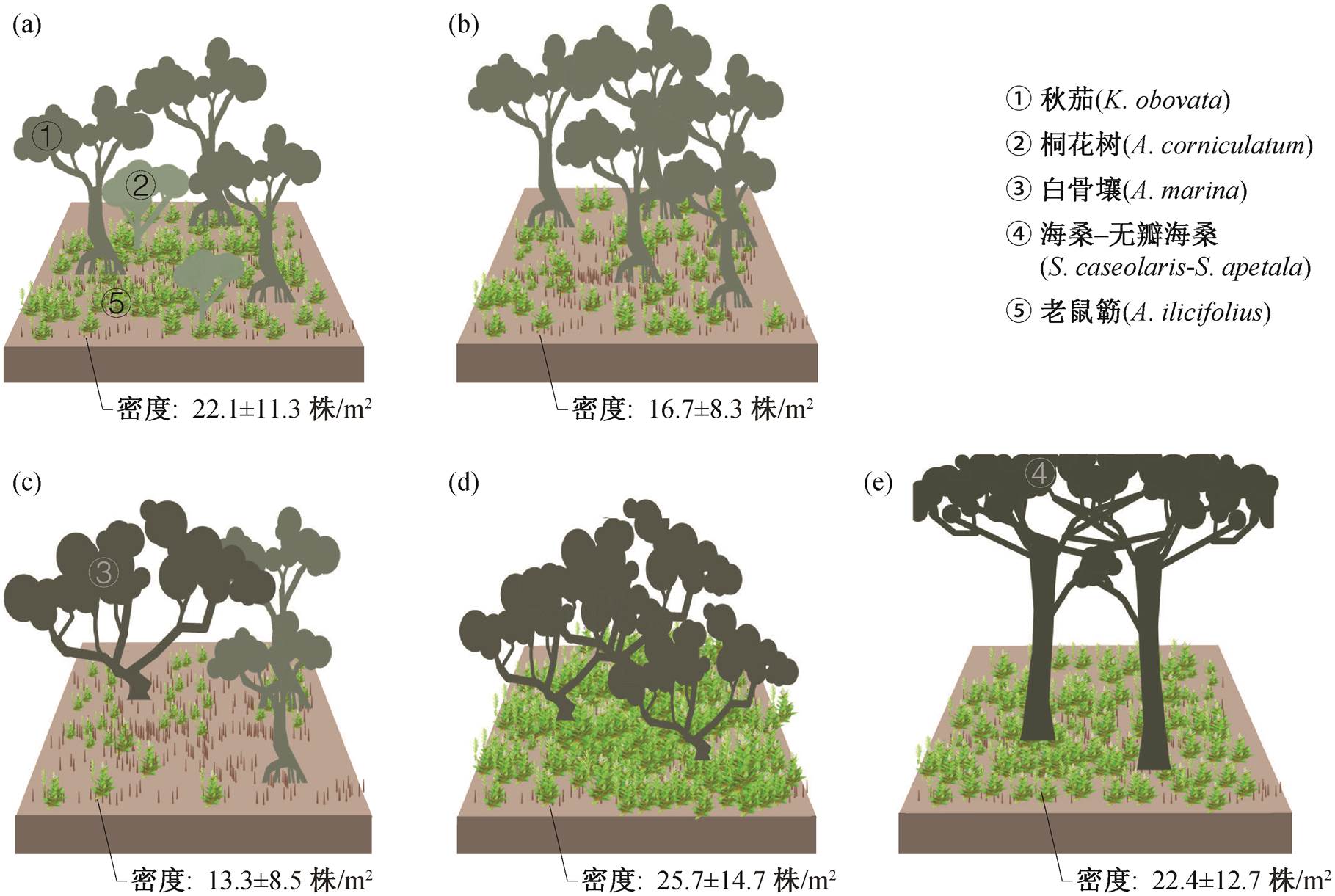 width=396.8,height=266.4