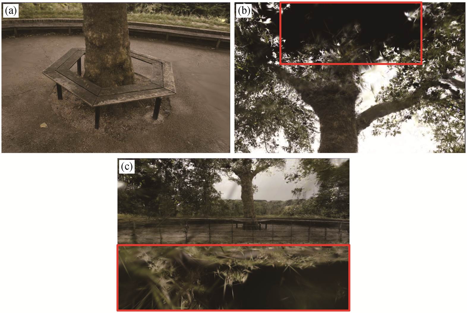 width=343,height=229.6