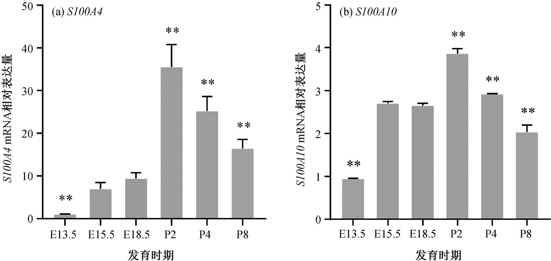 width=388.3,height=184.2
