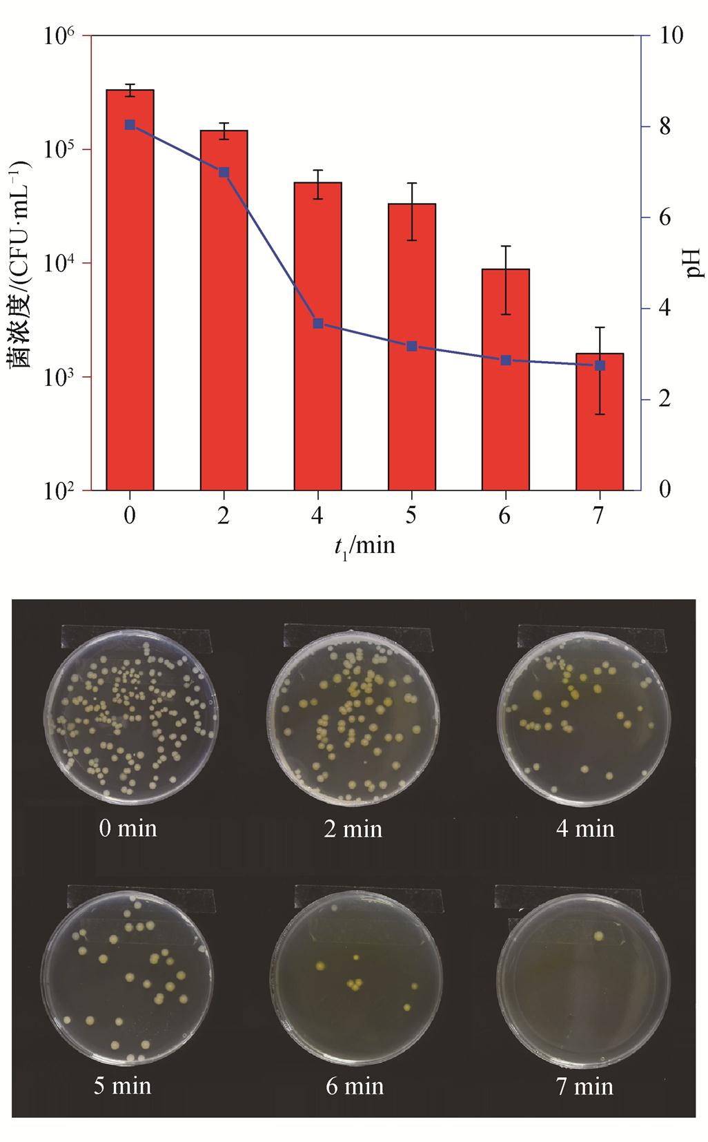 width=223.9,height=360.85