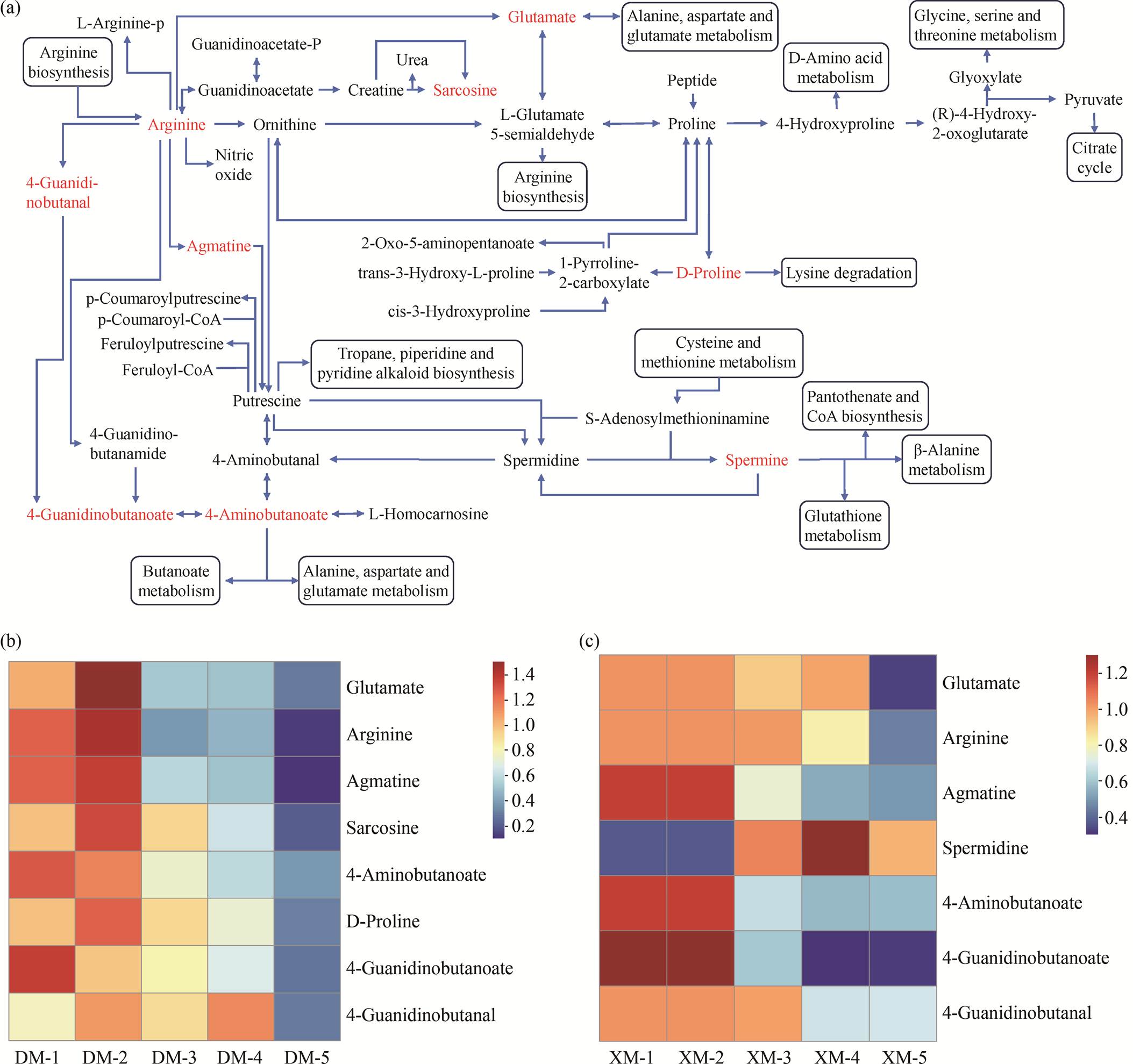 width=481.6,height=452.4