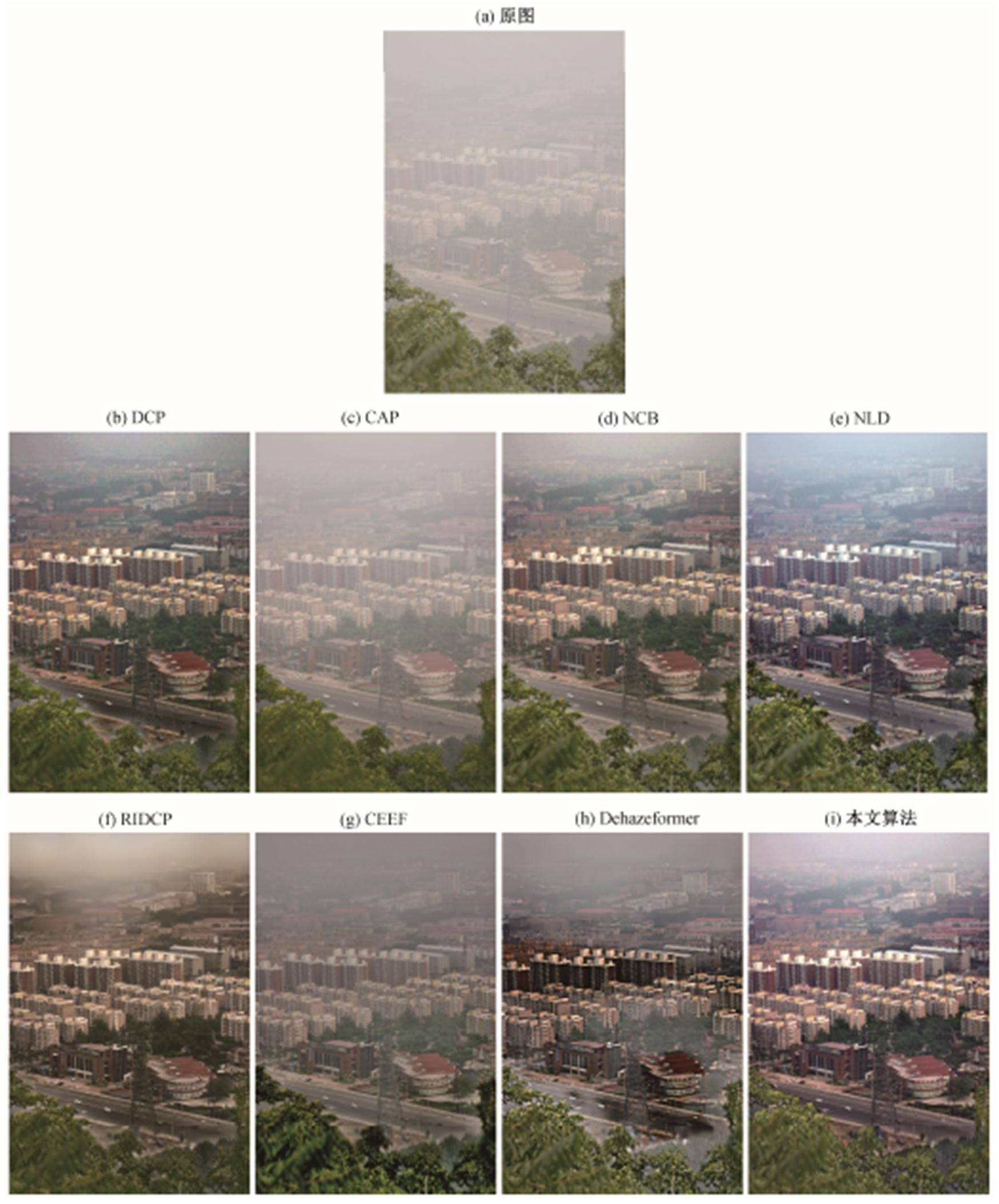 width=393.3,height=474.1