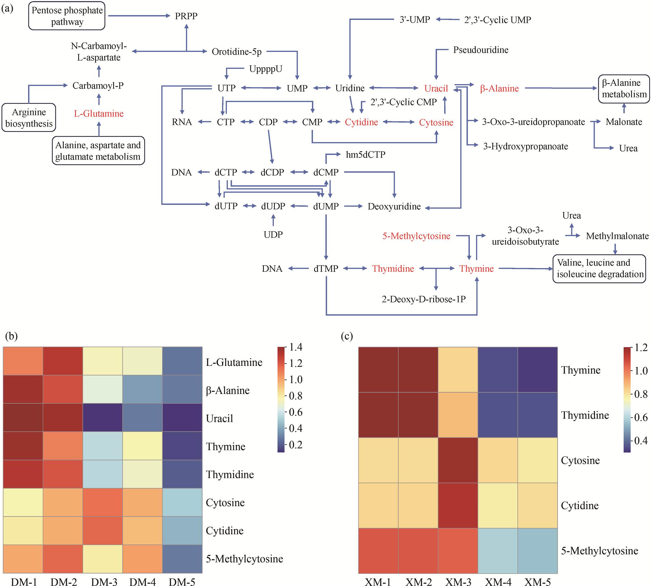 width=475.45,height=427.9